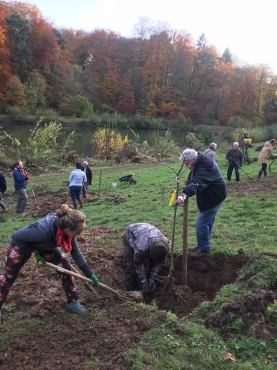 Plantation 16 nov. 2019 2